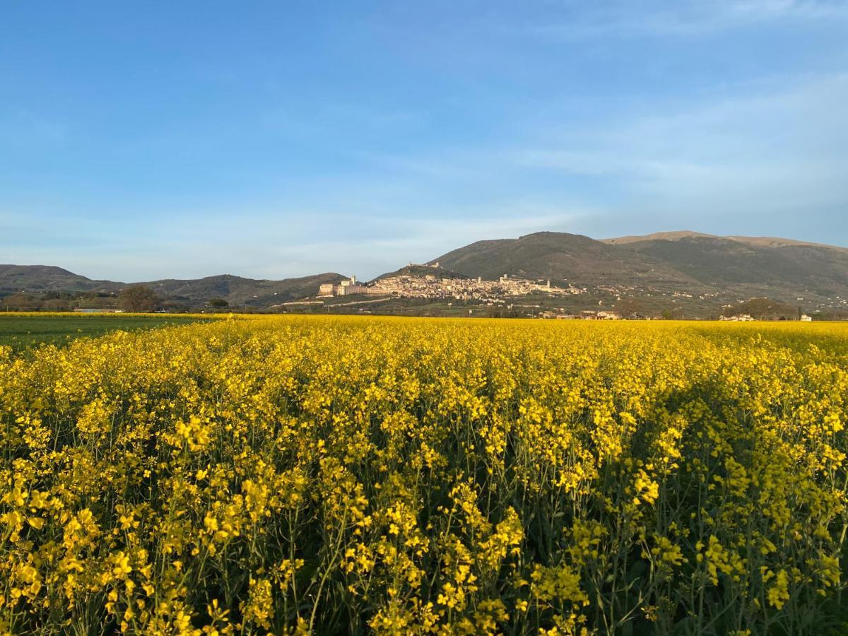 La Perla Di Assisi Exterior foto
